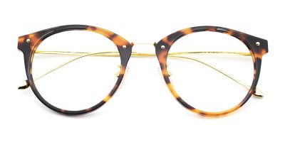 A138 Tortoiseshell Prescription Glasses